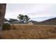 12 Nursling Chase, Wellard WA 6170