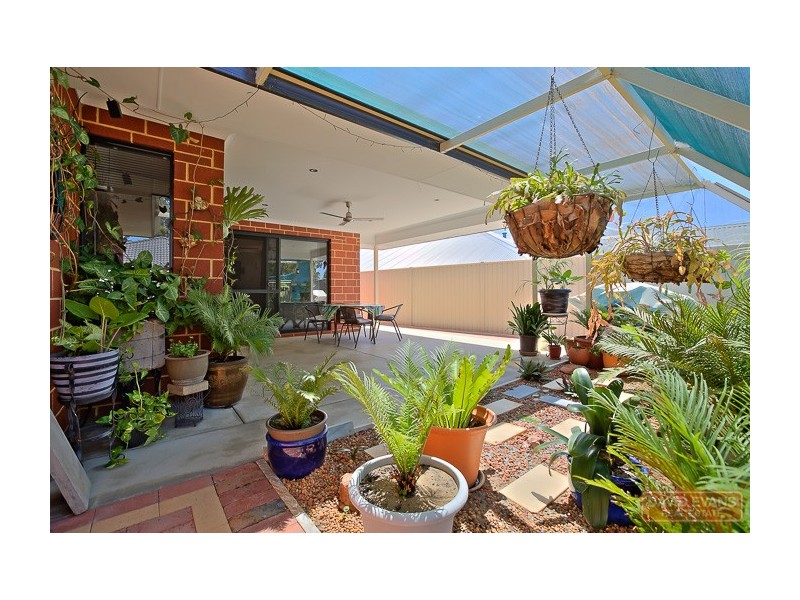 6 Ewood Pass, Baldivis WA 6171
