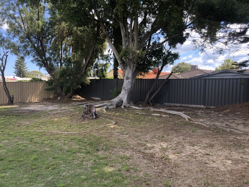 18 Axminster Street, Warnbro WA 6169
