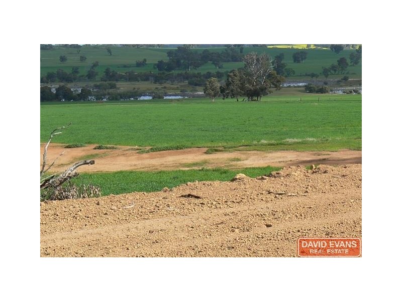 4582 Doyle Road, Bokal WA 6392