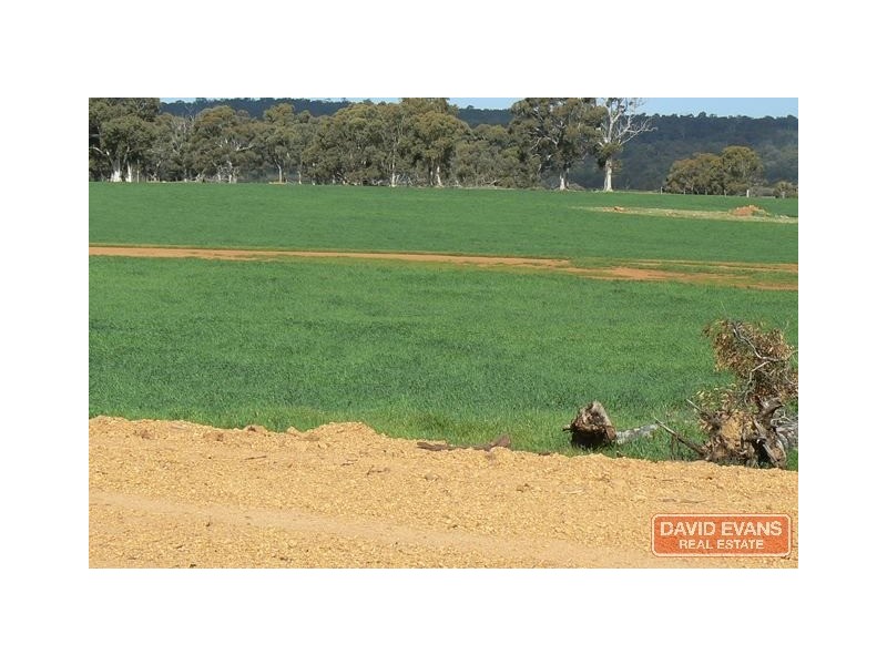 4582 Doyle Road, Bokal WA 6392