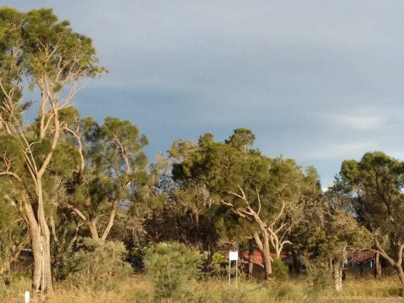 16 Portchester Avenue, Orelia WA 6167