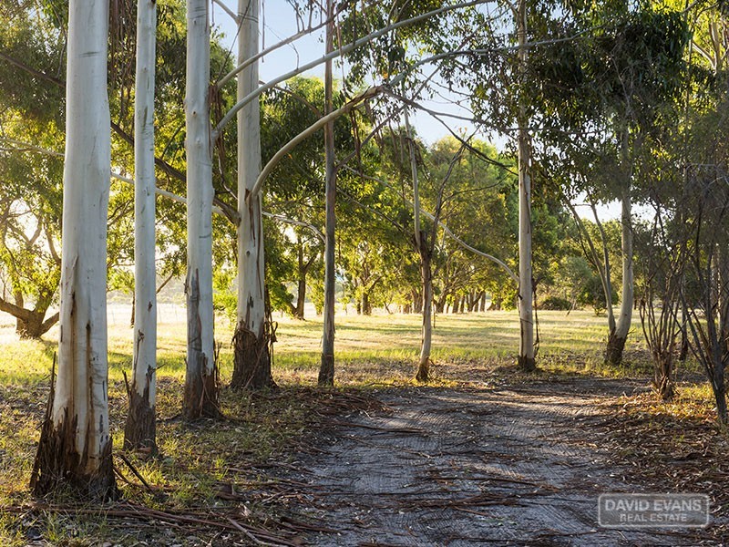 79 Lymon Road, Stake Hill WA 6181