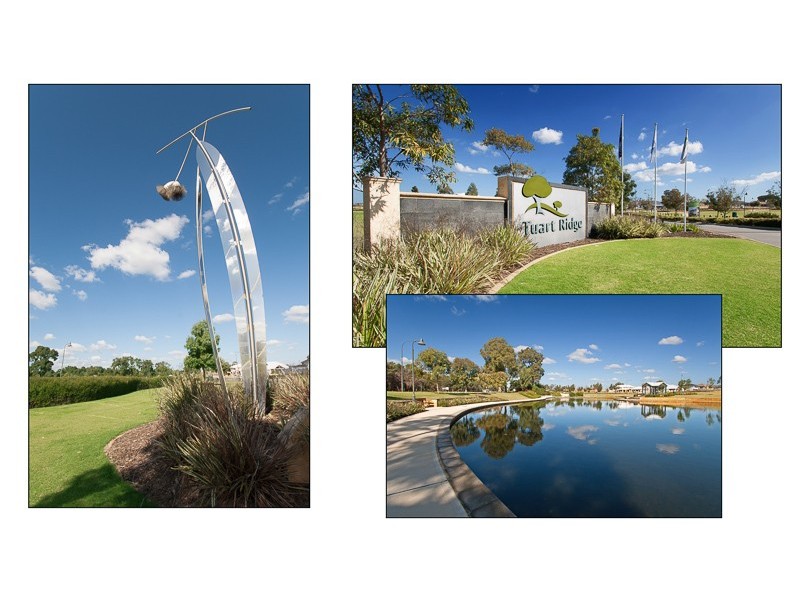 2 Hampden Rise, Baldivis WA 6171