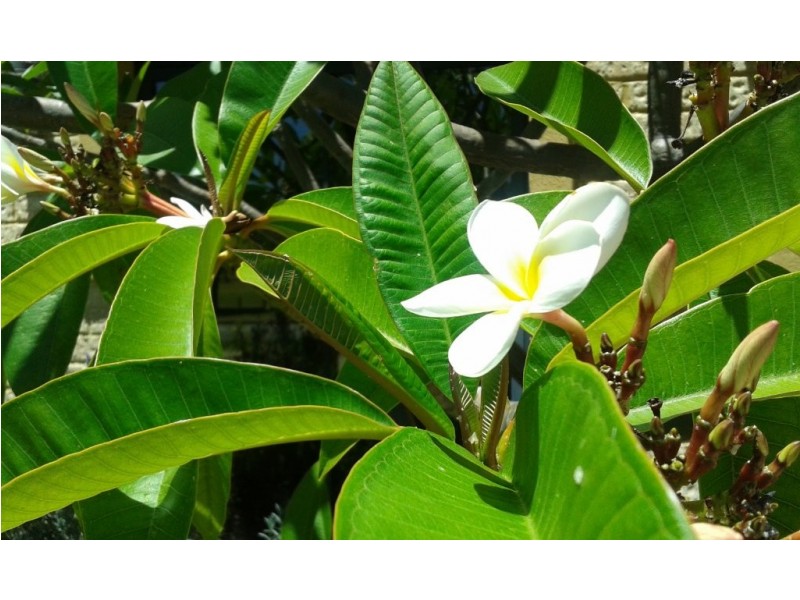 220 Grand Ocean Boulevard, Port Kennedy WA 6172