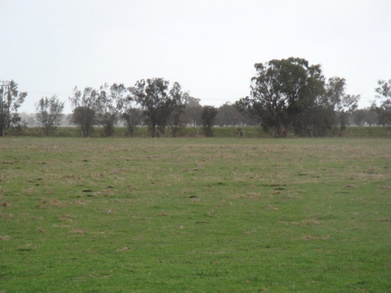 Lot 56 Kargotich Road, Oldbury WA 6121