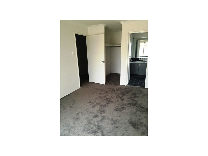 16 Persian Grove, Karnup WA 6176