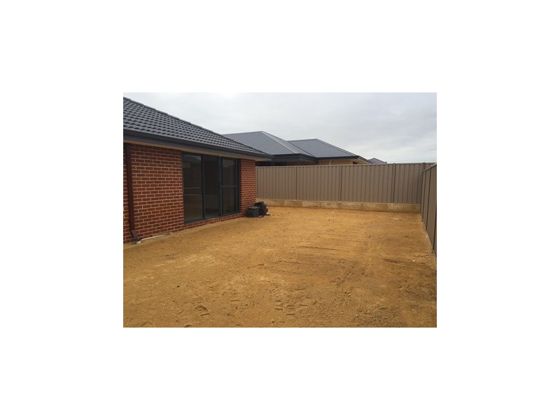 16 Persian Grove, Karnup WA 6176