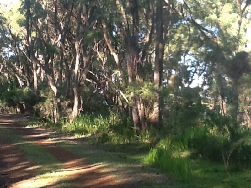 332 Frenchmans Bay Road, Robinson WA 6330