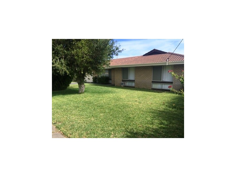 29 Kurrawa Street, Hillman WA 6168