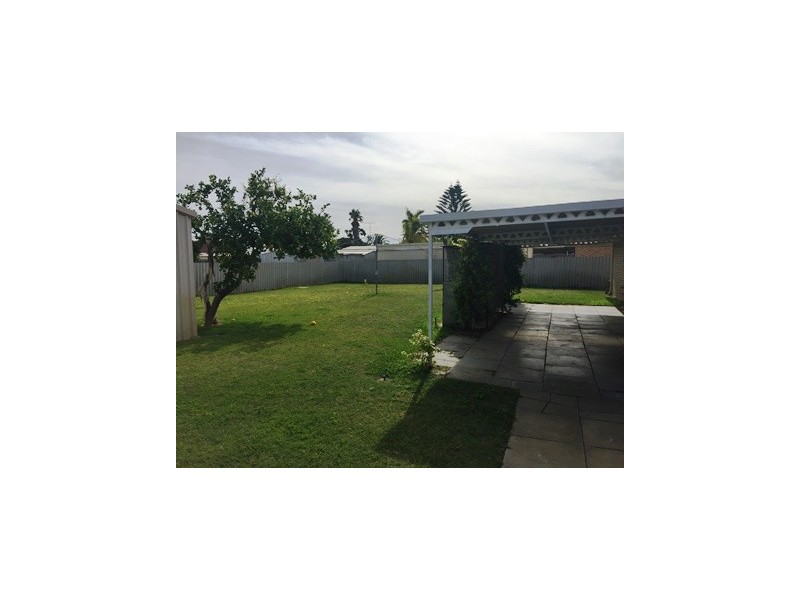 29 Kurrawa Street, Hillman WA 6168