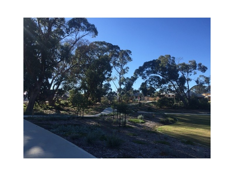 3 Dundee Way, Meadow Springs WA 6210