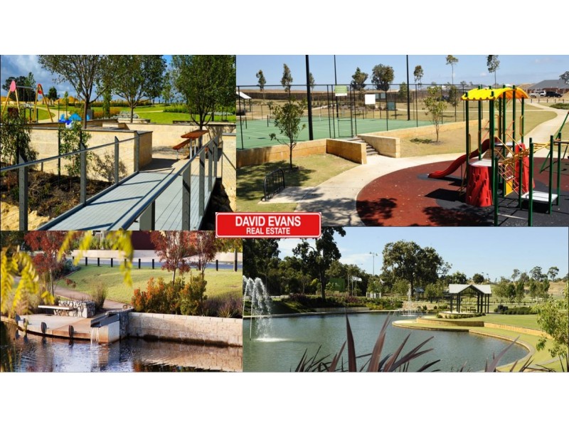 13 Rivette Road, Baldivis WA 6171