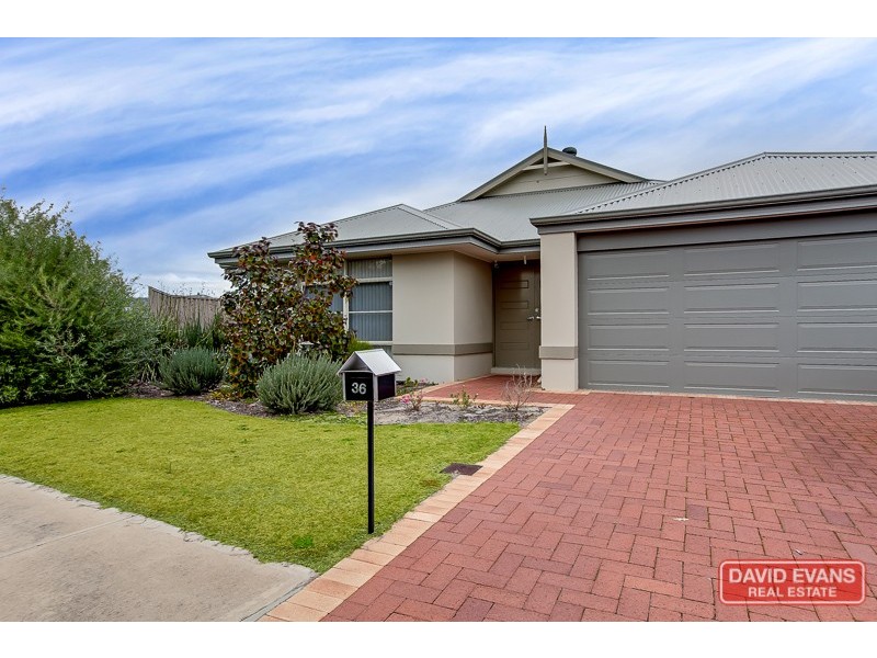 36 Campolina Avenue, Baldivis WA 6171
