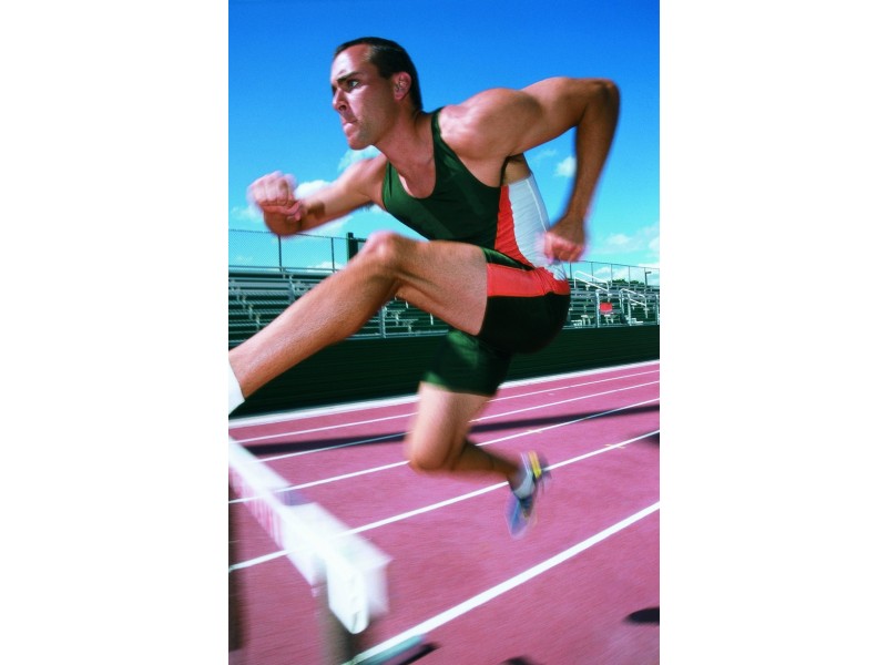 Caulfield North VIC 3161