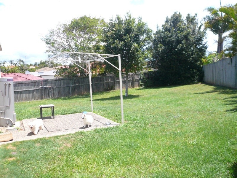 12 Oak Hill Cr, Parkwood QLD 4214