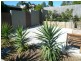 6 Wilga Grove, Ashmore QLD 4214