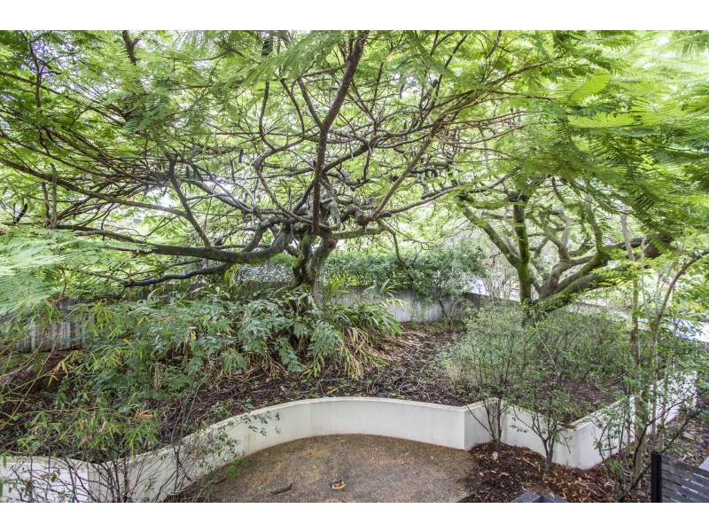 7/14 Grimes Street, Auchenflower QLD 4066