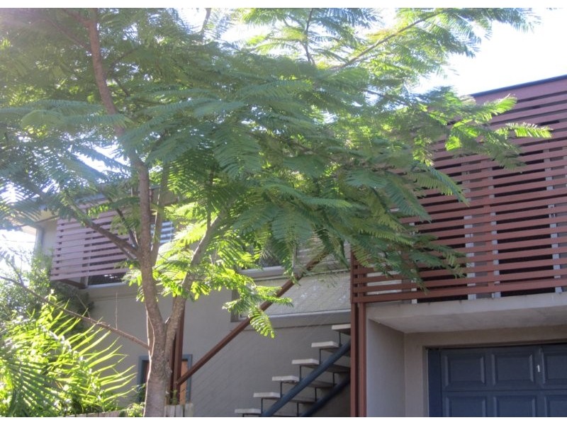 1/25 Reis Street, Woolloongabba QLD 4102