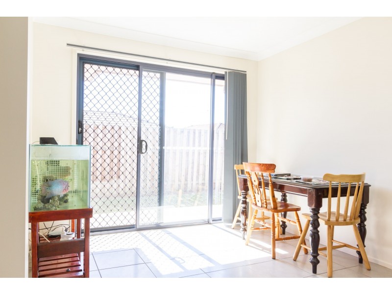 6 Melicope Place, Carseldine QLD 4034