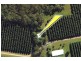 33 Vaughan Road, Elimbah QLD 4516