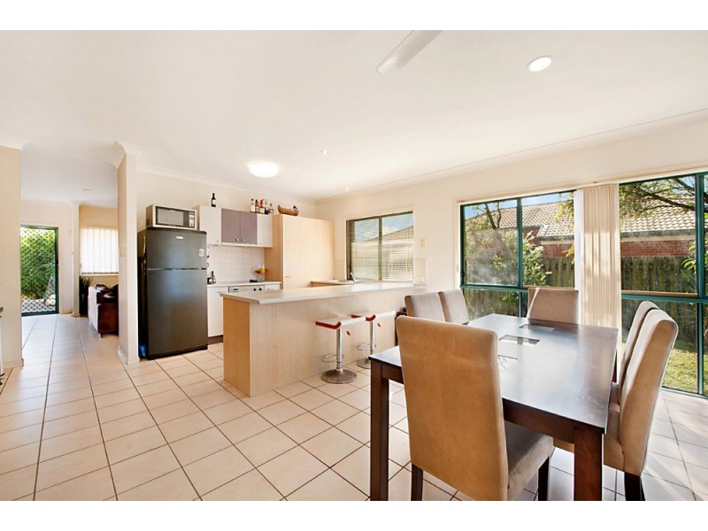 53 Vivacity Drive, Upper Coomera QLD 4209
