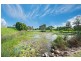 53 Vivacity Drive, Upper Coomera QLD 4209