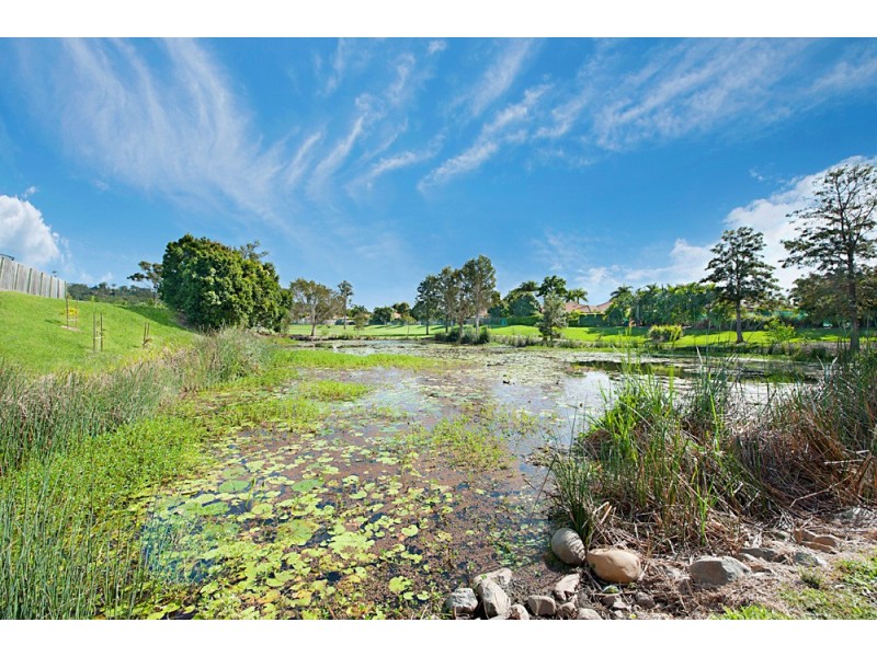 53 Vivacity Drive, Upper Coomera QLD 4209