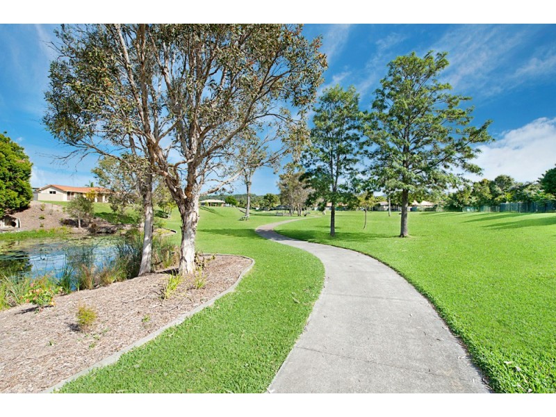 53 Vivacity Drive, Upper Coomera QLD 4209