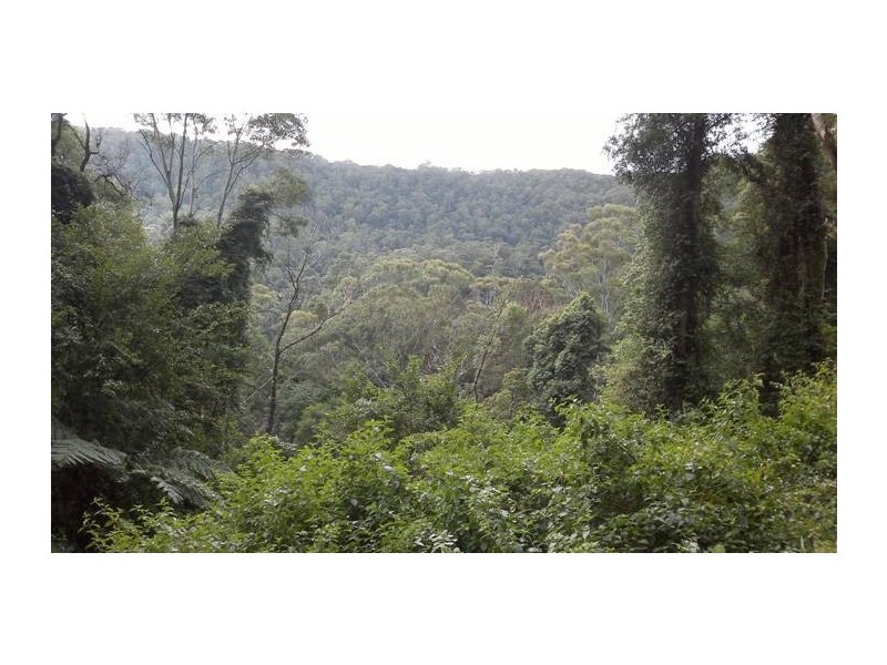 2905 Nerang-Murwillumbah Road, Numinbah Valley QLD 4211