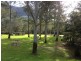 2905 Nerang-Murwillumbah Road, Numinbah Valley QLD 4211