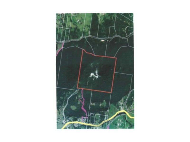 2905 Nerang-Murwillumbah Road, Numinbah Valley QLD 4211