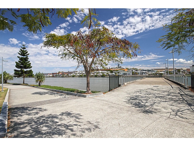 37 / 46 Addison Avenue, Bulimba QLD 4171