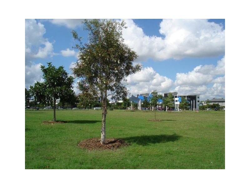 37 / 46 Addison Avenue, Bulimba QLD 4171