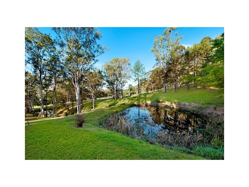 56 Fern Hill Drive, Willow Vale QLD 4209