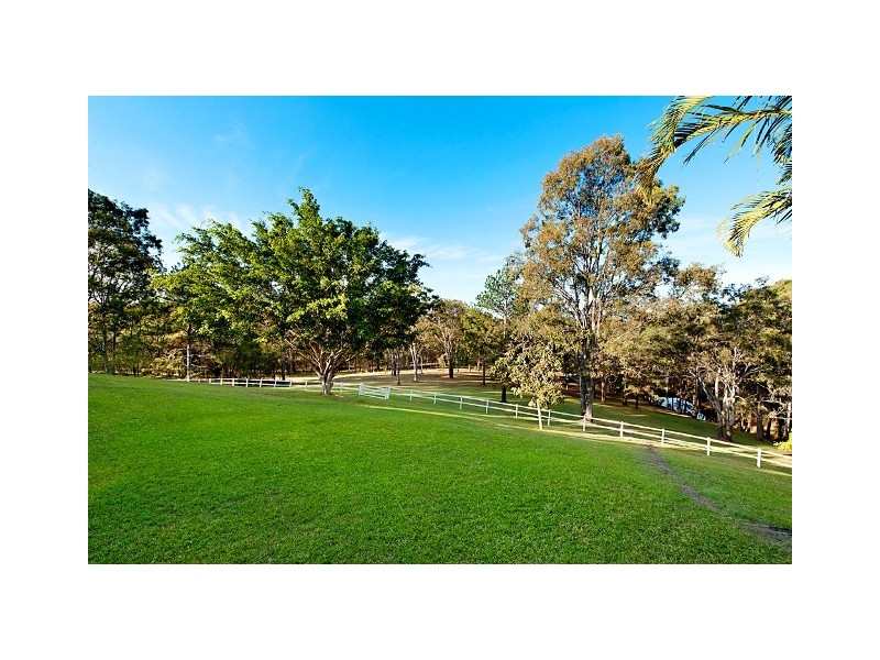 56 Fern Hill Drive, Willow Vale QLD 4209