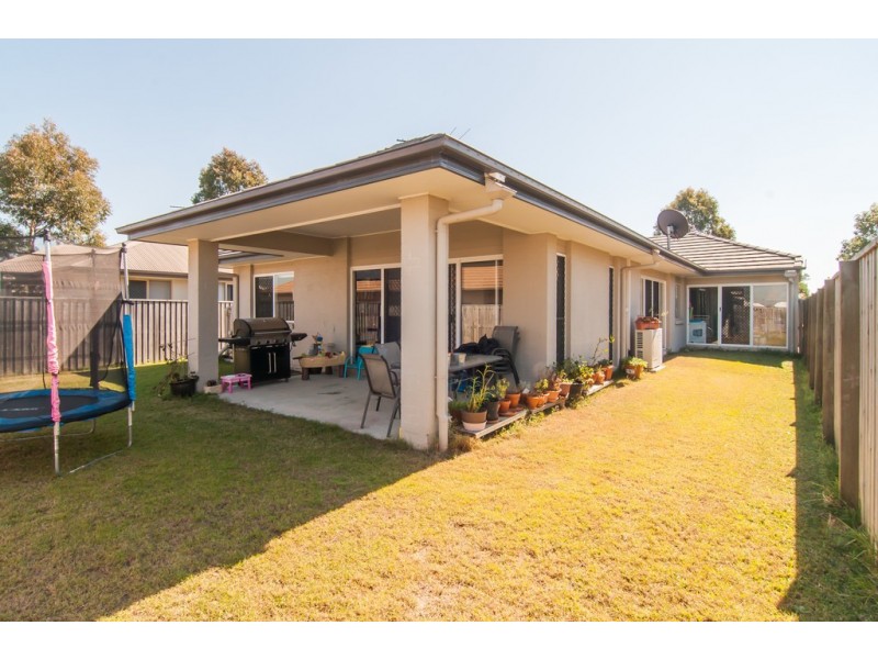 31 Langer Circuit, North Lakes QLD 4509
