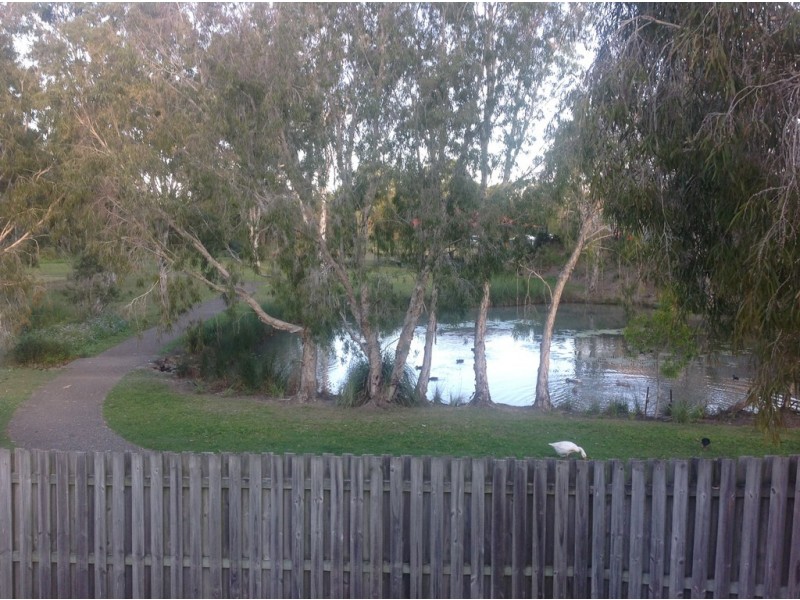 3 Caribou Crescent, Upper Coomera QLD 4209