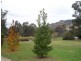 710 Telegraph Road, Seymour VIC 3660