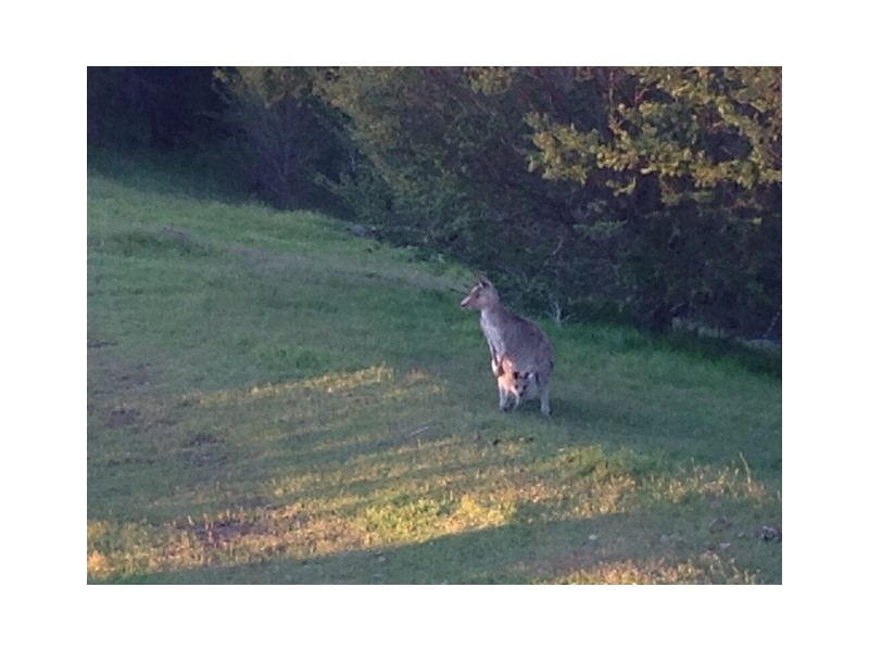 5 Spade Cove-Left Arm Road Taylor Bay, Eildon VIC 3713