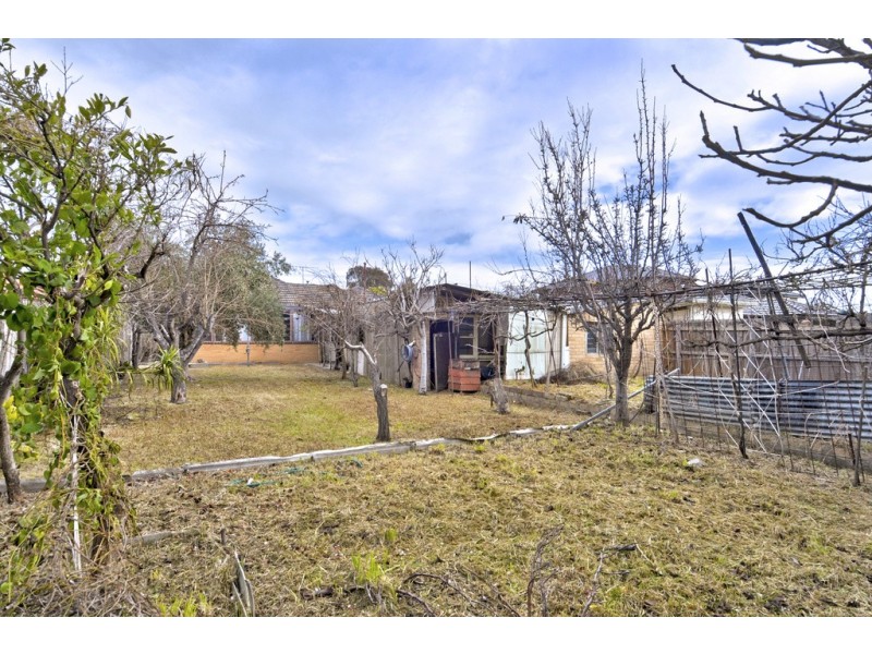 16 Shirley Street, Fawkner VIC 3060