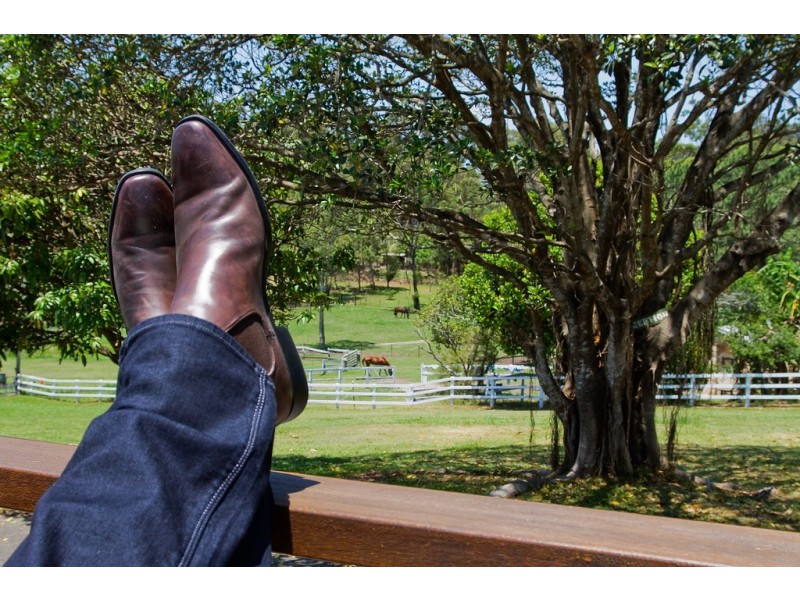 4 Alawara Drive, Tallai QLD 4213