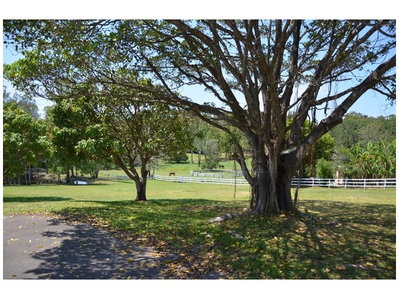 4 Alawara Drive, Tallai QLD 4213