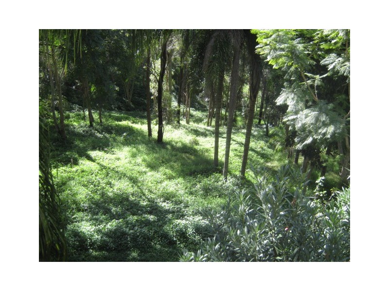 4 Harmes Place, Tallebudgera Valley QLD 4228