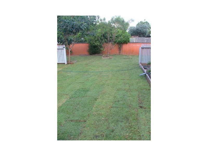 57 Japonica Drive, Palm Beach QLD 4221