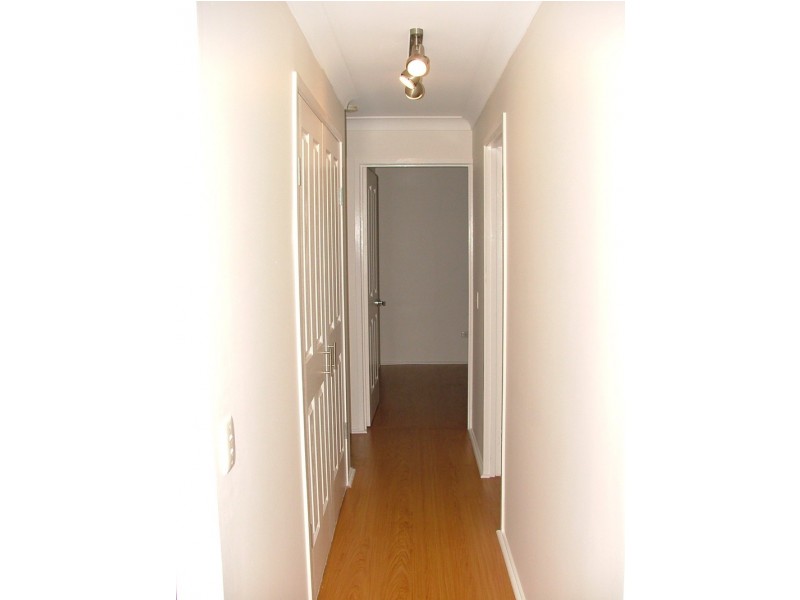 57 Japonica Drive, Palm Beach QLD 4221