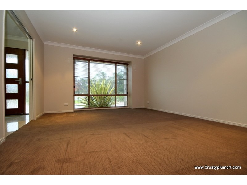 3 Rusty Plum Court, Reedy Creek QLD 4227
