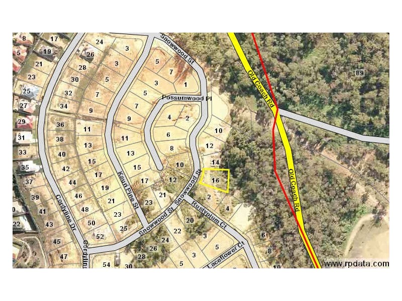 16 Snowwood Street, Reedy Creek QLD 4227