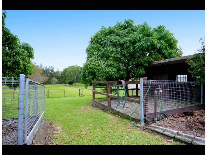 5 Daffodil Street, Tallebudgera QLD 4228