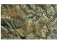 1 Clare Court, Tallebudgera Valley QLD 4228